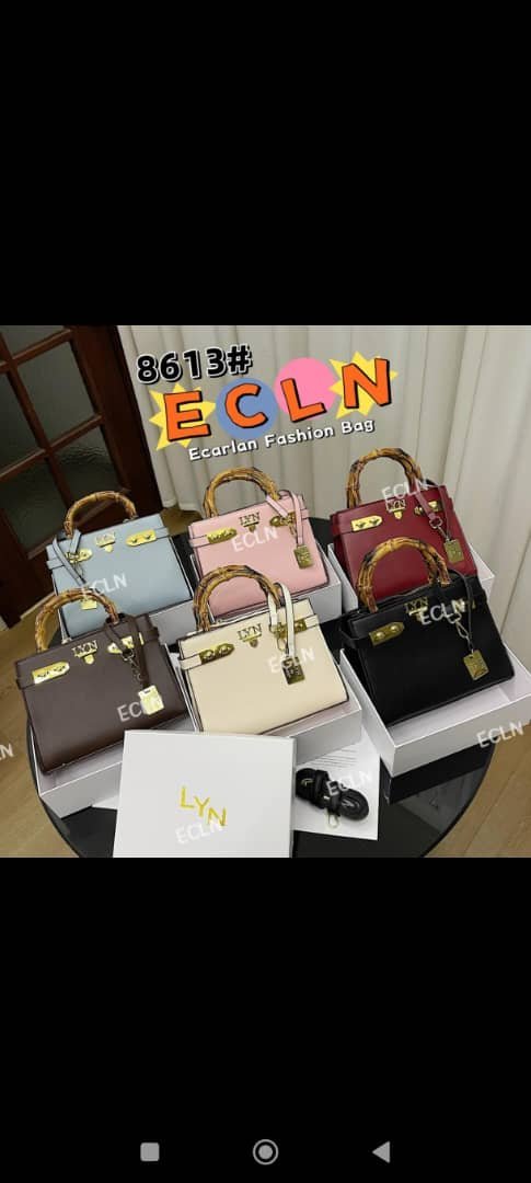 Luxury Classic Lynn Bag for Ladies