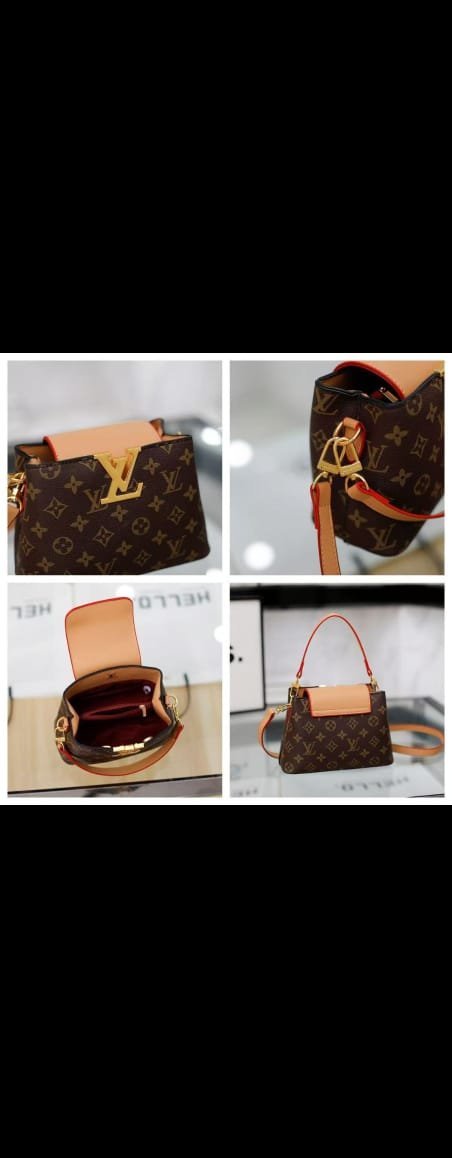 Louis Vuitton Capucines Monogram Canvas Handbag